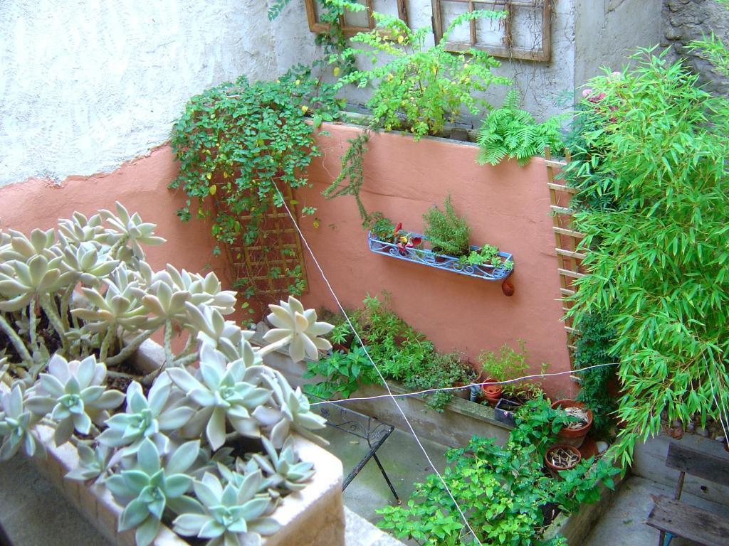 Belle De Nuit Bed and Breakfast Oppède Δωμάτιο φωτογραφία